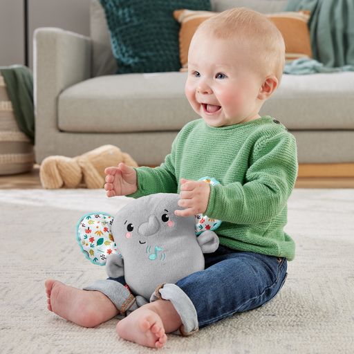 Fisher Price raminantis vibruojantis Drambliukas