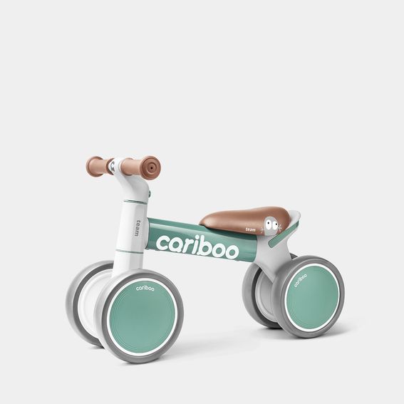 Cariboo Team (žalias)
