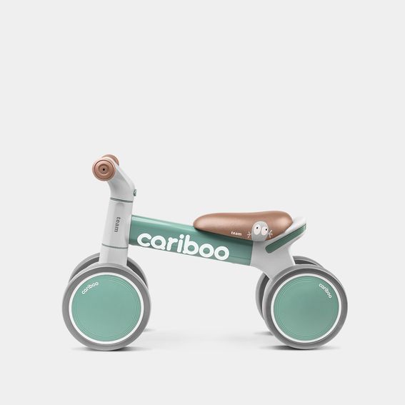 Cariboo Team (žalias)